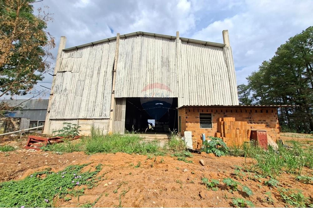 Galpão - Alugar - Mogi Mirim , São Paulo - 20251028_150409.jpg - 690751049-274