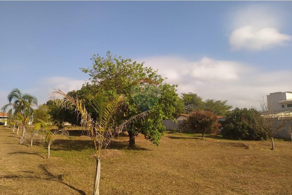 Chácara / Sítio / Fazenda - Venda - São Pedro , São Paulo - IMG_20250913_082531.jpg - 690571081-4