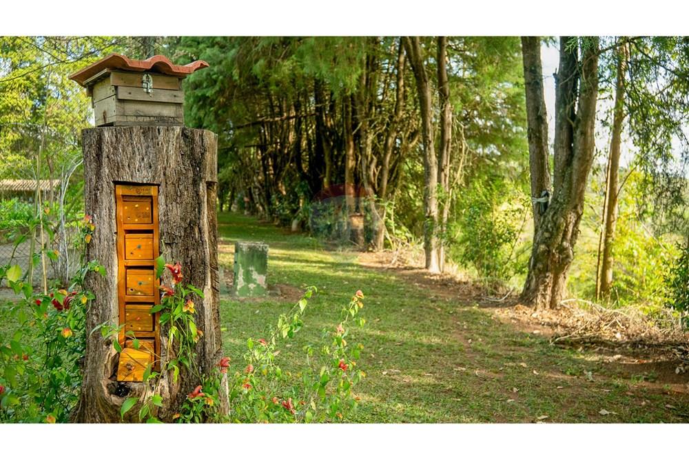 Fazenda - Venda - Atibaia , São Paulo - DSC06123.jpg - 690471017-68