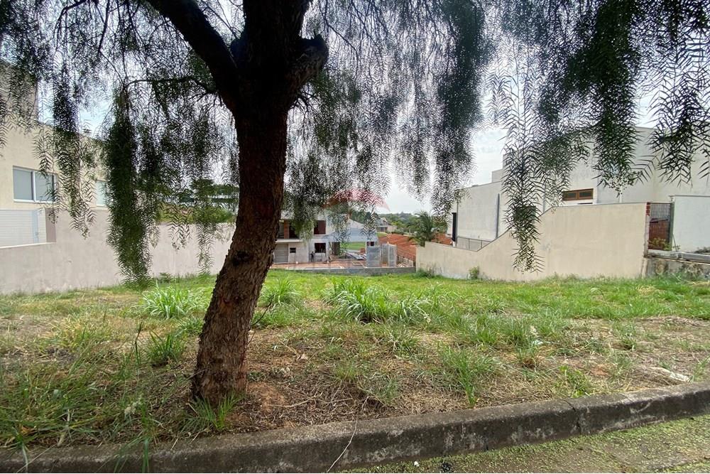 Terreno - Venda - Mogi Mirim , São Paulo - IMG_8797.jpg - 690751100-18