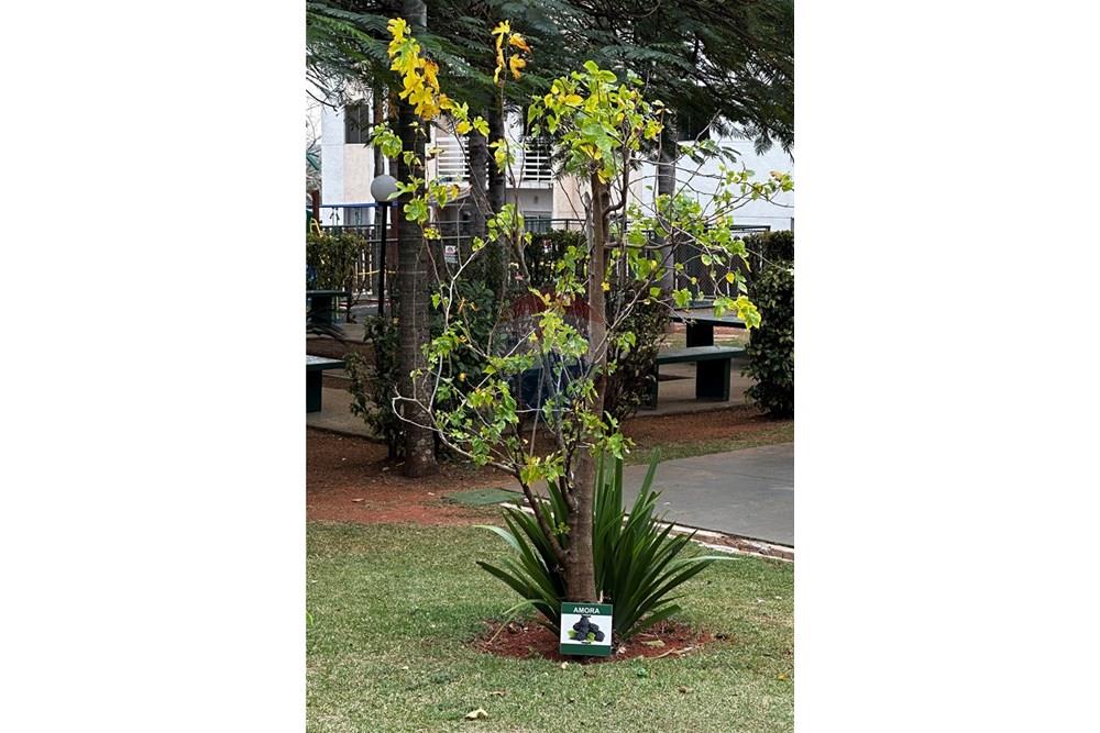 Apartamento - Venda - Limeira , São Paulo - IMG_1264.JPG - 690741007-97