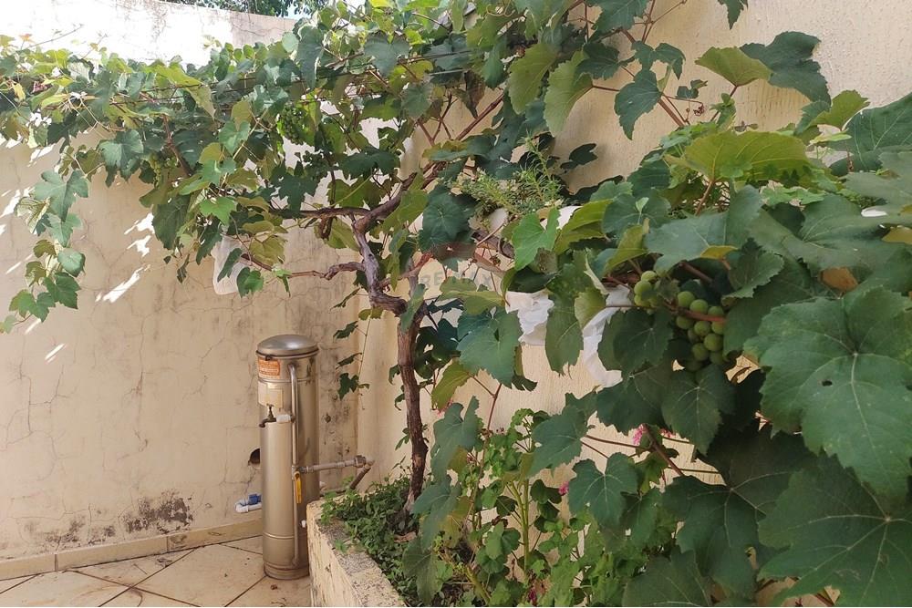 Casa - Venda - Cosmópolis , São Paulo - IMG_20231123_152528840.jpg - 690831005-1070