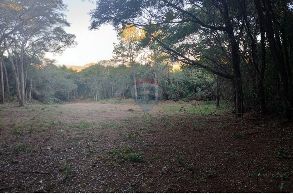 Terreno - Venda - Bragança Paulista , São Paulo - 20250530_164150.jpg - 690141085-18