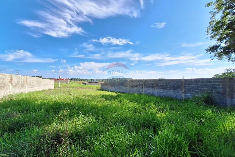 Terreno - Alugar - Mogi Mirim , São Paulo - IMG-20241208-WA0055.jpg - 690751048-95