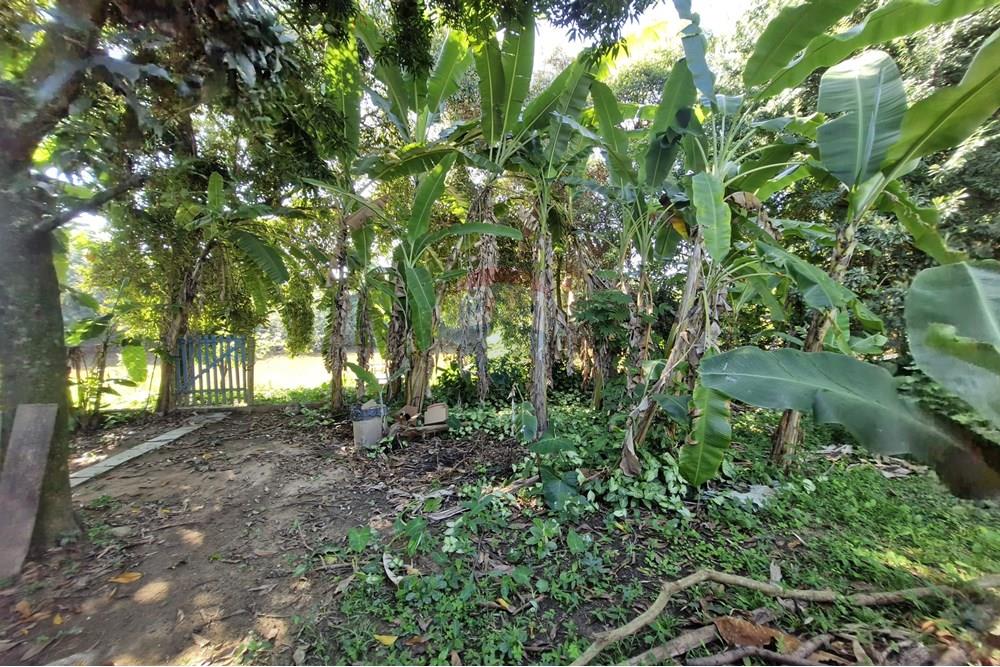 Chácara / Sítio / Fazenda - Venda - Campinas , São Paulo - 20250508_094937.jpg - Quintal - 690671050-21