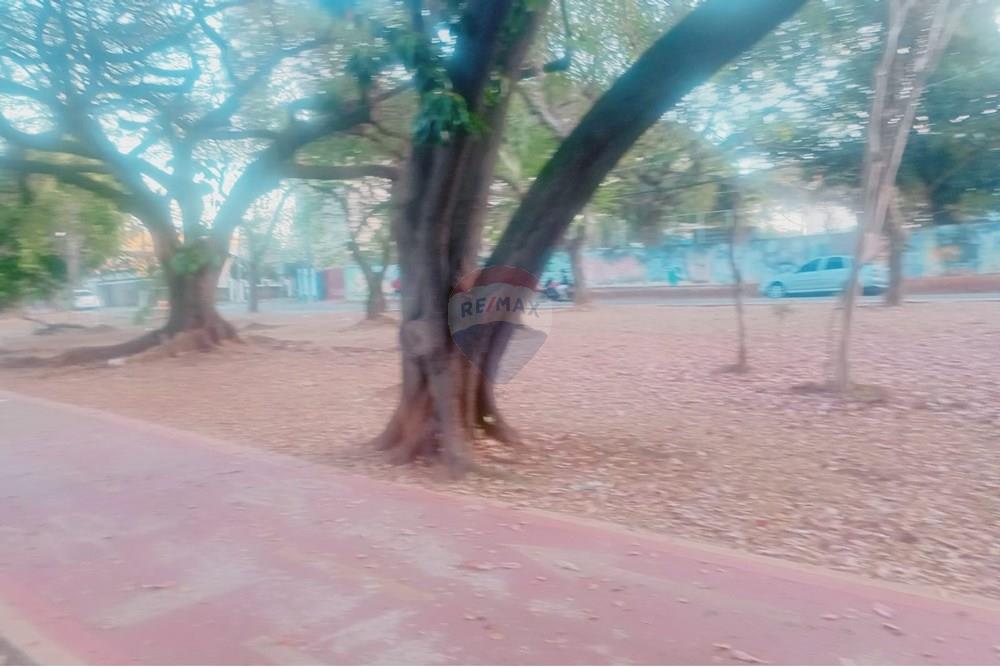 Kitnet - Alugar - Campinas , São Paulo - WhatsApp Image 2025-09-04 at 20.23.50.jpeg - 690331010-65