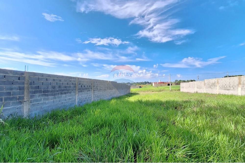 Terreno - Alugar - Mogi Mirim , São Paulo - IMG-20241209-WA0041.jpg - 690751048-95