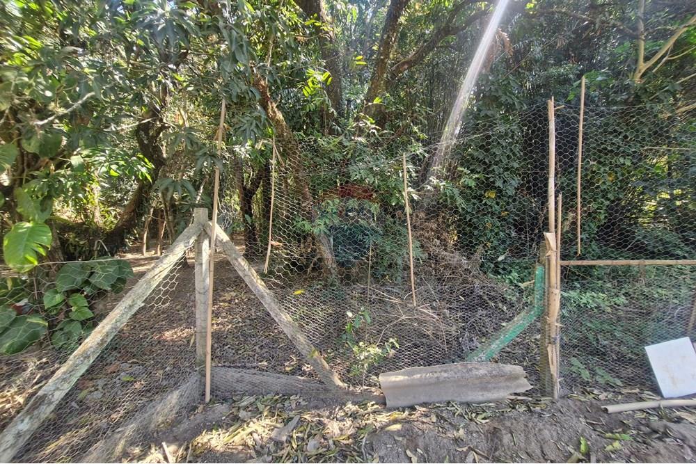 Chácara / Sítio / Fazenda - Venda - Jaguariúna , São Paulo - 20250912_095519.jpg - 690671050-41