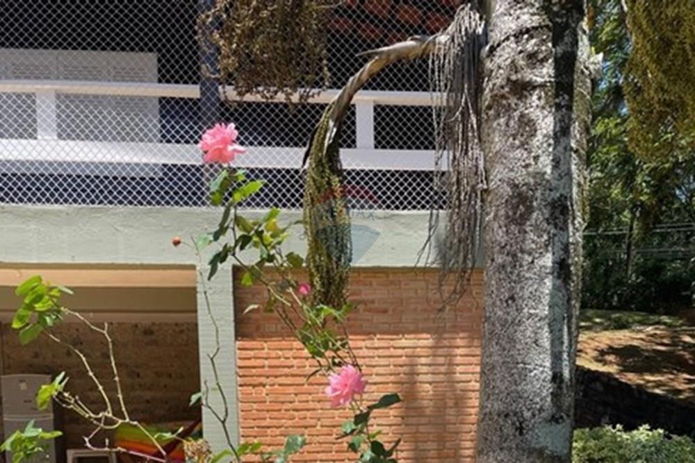 Chácara / Sítio / Fazenda - Venda - Jarinu , São Paulo - WhatsApp Image 2025-05-06 at 17.27.40 (1).jpeg - 690661027-107