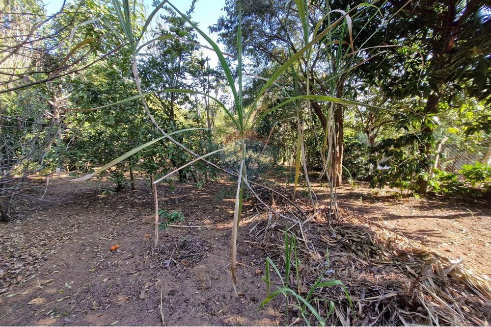 Rezidencijalno - Zemljište - Jaguariúna , Sao Paulo - BR - 20250814_151906.jpg - 690671008-326