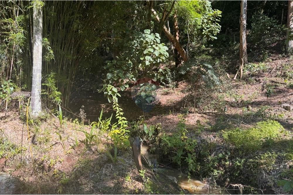 Chácara / Sítio / Fazenda - Venda - Joanópolis , São Paulo - photo_5019343269280201163_y.jpg - 690041001-120