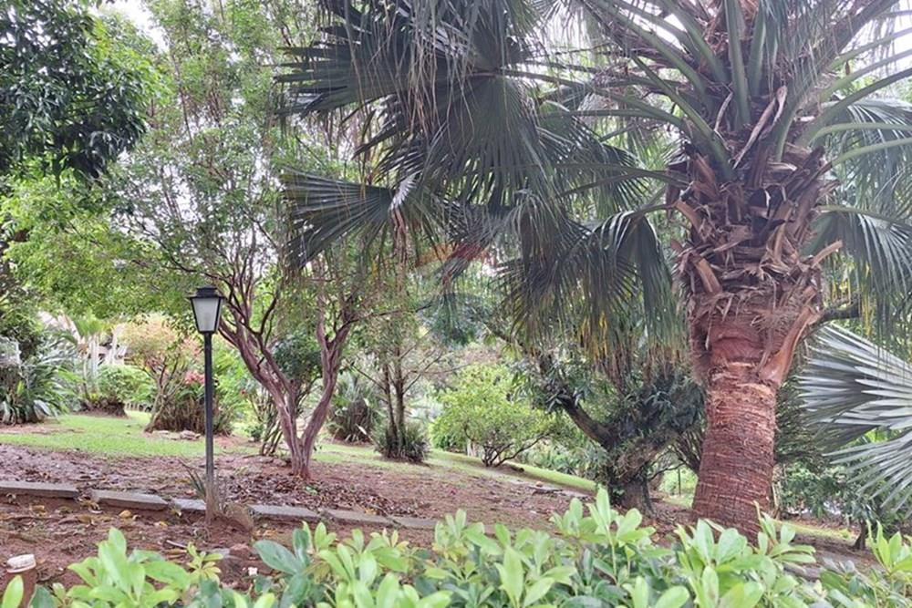 Chácara / Sítio / Fazenda - Venda - Serra Negra , São Paulo - jardim.jpg - 690041146-34