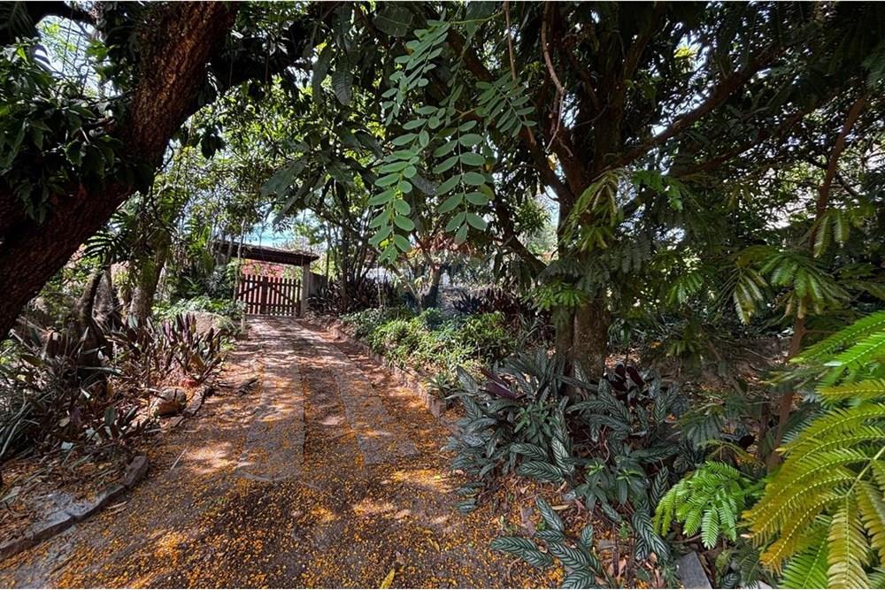 Chácara / Sítio / Fazenda - Venda - Itupeva , São Paulo - 69bf39ec-eb89-4d18-8d42-831363bc8cee.jpg - 690801055-81