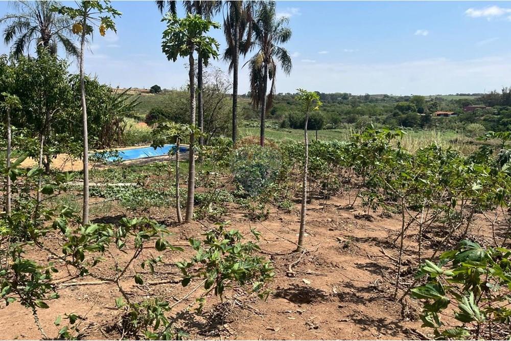 Chácara / Sítio / Fazenda - Venda - Valinhos , São Paulo - WhatsApp Image 2025-10-27 at 09.33.48 (9).jpeg - 691181004-89