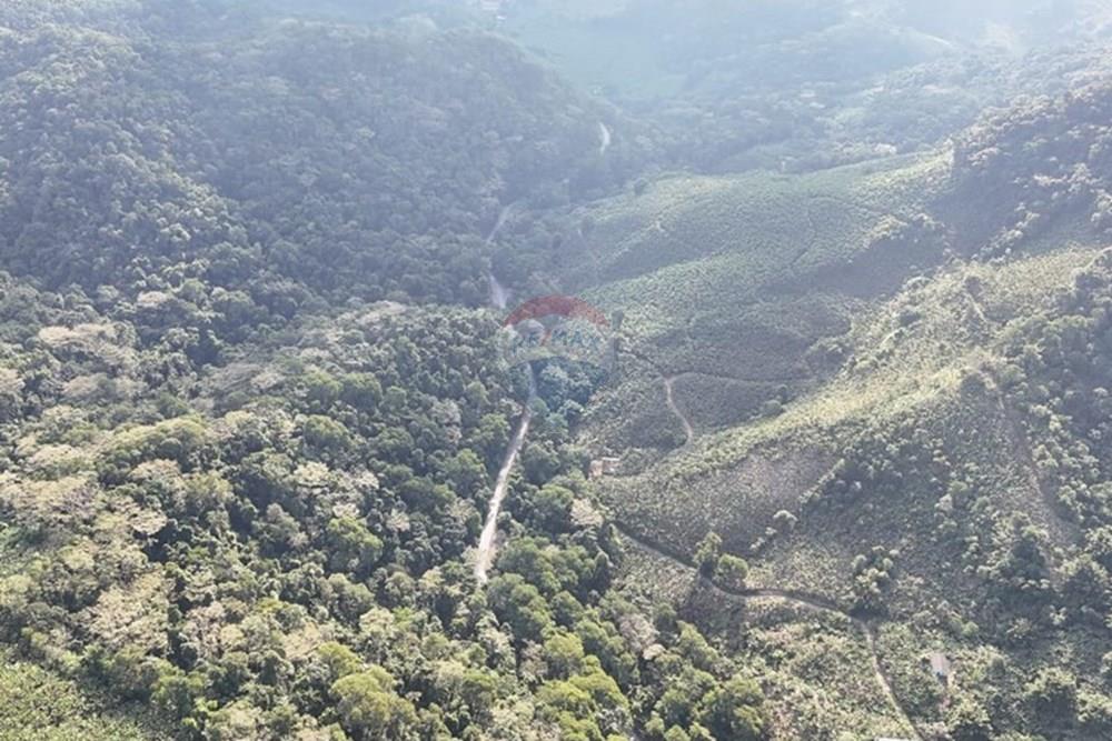 Fazenda - Venda - Miracatu , São Paulo - WhatsApp Image 2025-06-02 at 19.50.09.jpeg - 690061038-8