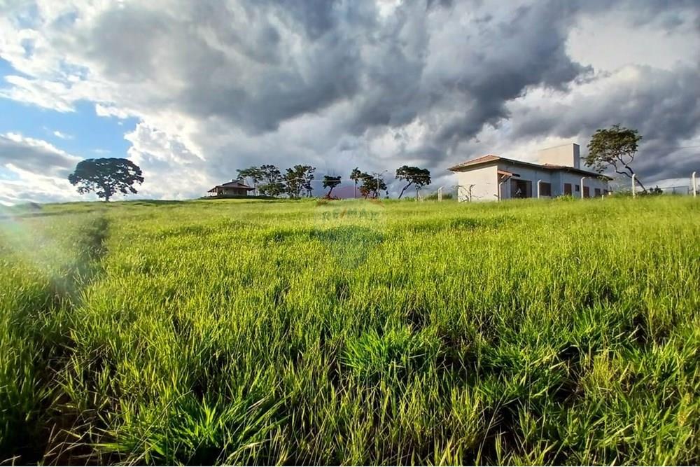 Chácara / Sítio / Fazenda - Venda - Itapira , São Paulo - WhatsApp Image 2025-04-08 at 15.05.03 (1).jpeg - 690291039-39