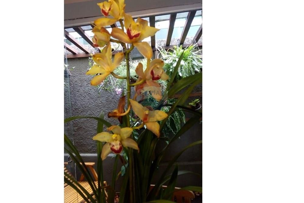 Sobrado - Alugar - Piracicaba , São Paulo - WhatsApp Image 2025-04-11 at 17.48.37.jpeg - 690781071-57