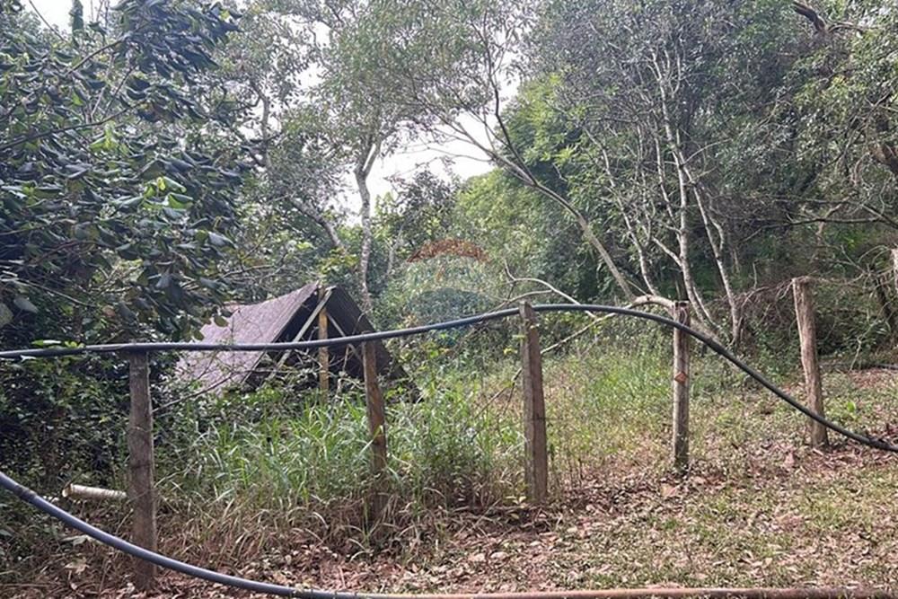 Chácara / Sítio / Fazenda - Venda - Amparo , São Paulo - WhatsApp Image 2025-06-24 at 11.21.31 (8).jpeg - 690661027-111