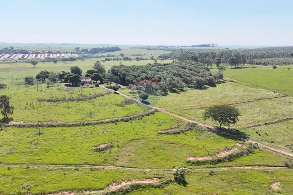 Industrial - Venda - Lins , São Paulo - WhatsApp Image 2025-05-02 at 16.51.41 (1).jpeg - 690061038-1