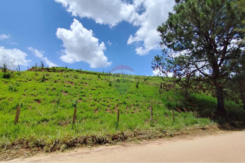 Terreno - Venda - Serra Negra , São Paulo - IMG_20241030_110702.jpg - 690291077-60
