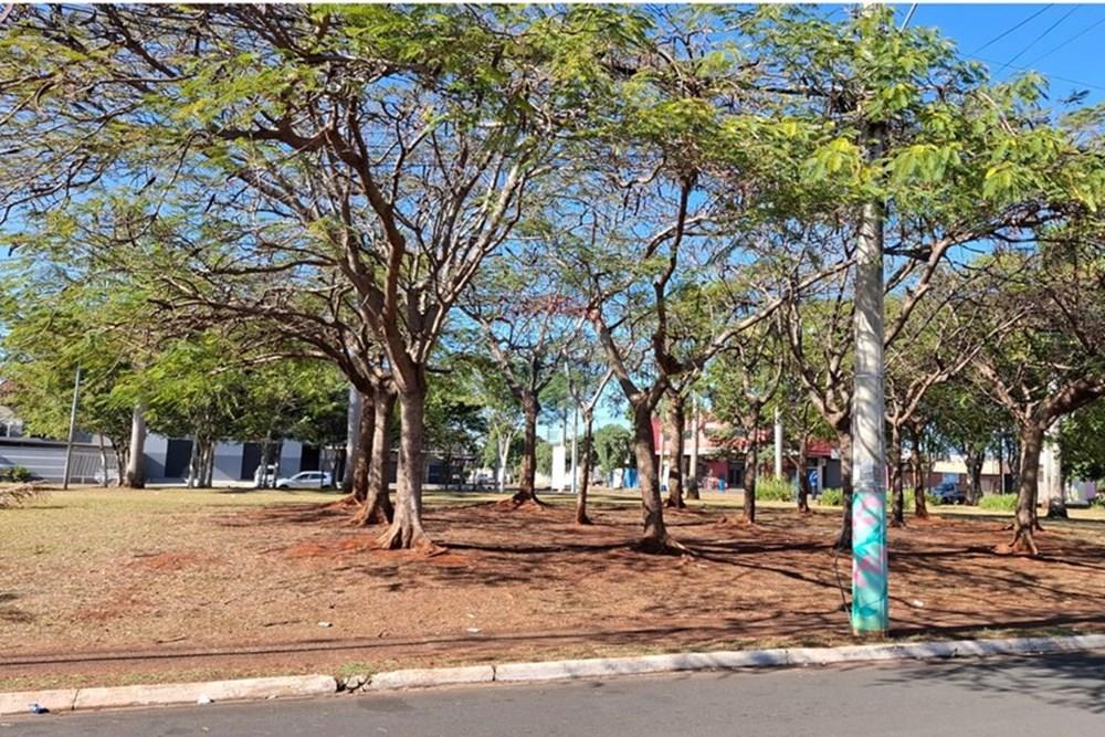 Terreno - Venda - Sumaré , São Paulo - WhatsApp Image 2025-07-31 at 10.21.34.jpeg - 690511208-23