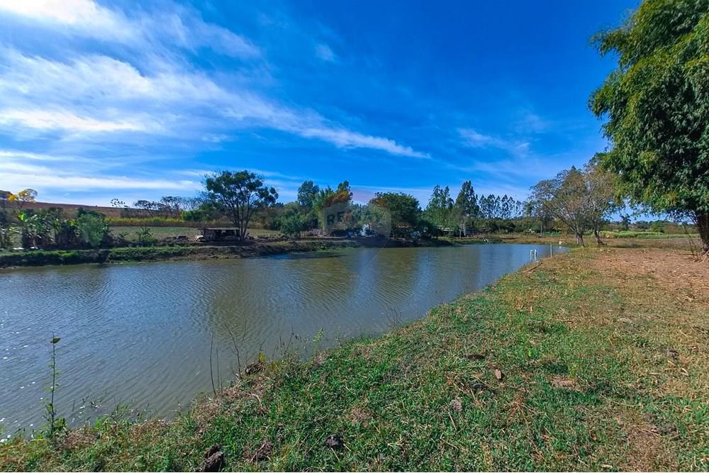 Chácara / Sítio / Fazenda - Venda - Santa Cruz da Conceição , São Paulo - Tratada-22.jpg - 690481001-177