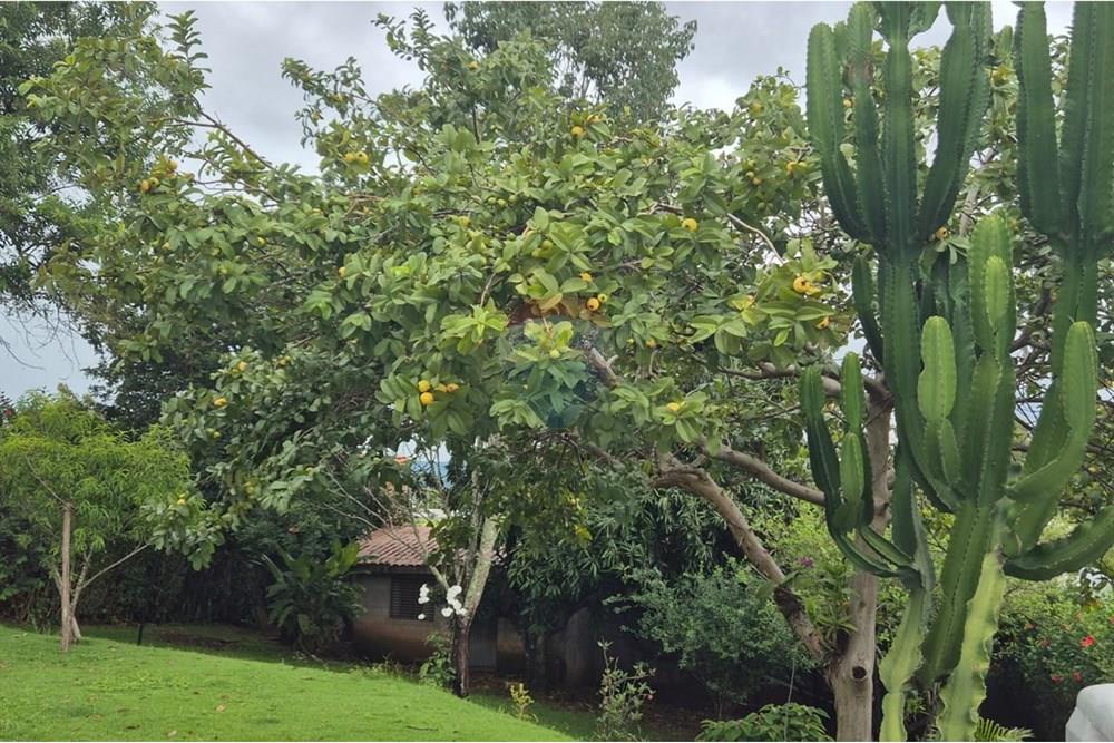 Casa de Condomínio - Alugar - Vinhedo , São Paulo - 45b4c425-60fb-4326-b9f3-748964bded4b.jpg - 690851008-488