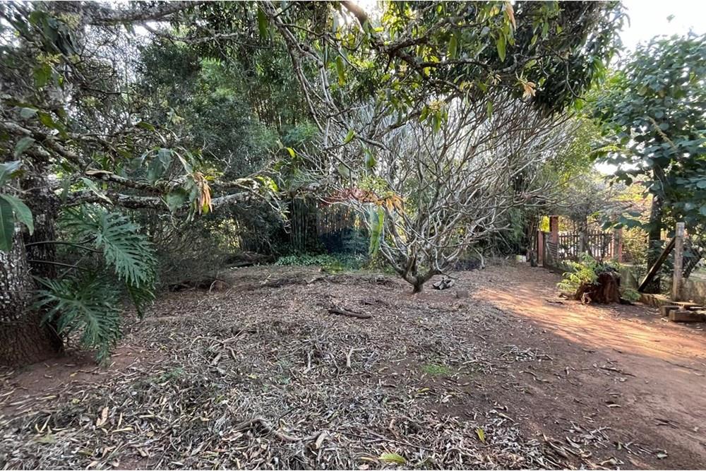 Terreno - Venda - Jarinu , São Paulo - WhatsApp Image 2024-09-06 at 15.27.53 (12).jpeg - 691121001-10