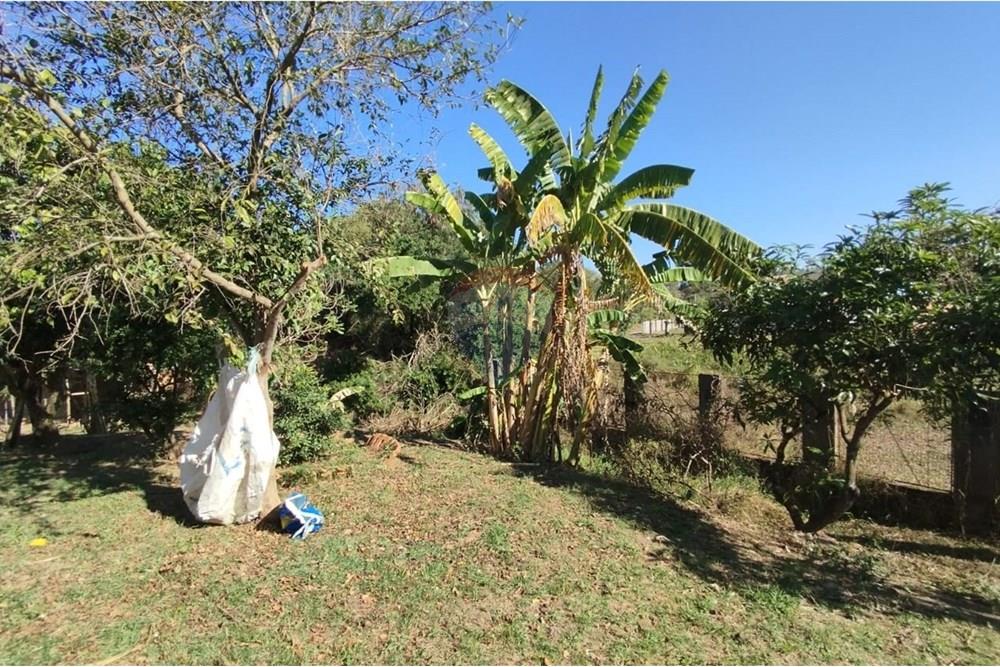 Chácara / Sítio / Fazenda - Venda - Rio Claro , São Paulo - WhatsApp Image 2025-06-17 at 14.43.19.jpeg - 690811057-32