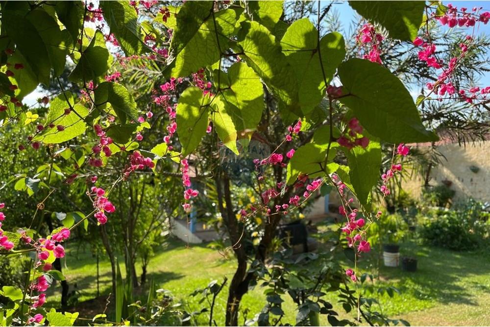 Chácara / Sítio / Fazenda - Venda - Jarinu , São Paulo - WhatsApp Image 2024-11-27 at 22.23.59.jpeg - 690661027-88