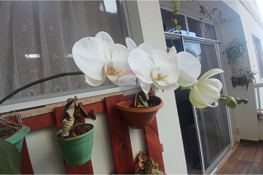 Apartamento - Alugar - Mogi Guaçu , São Paulo - 6e3a08de-da86-4071-a798-2987a5052dab.jpg - Varanda - 690521160-78