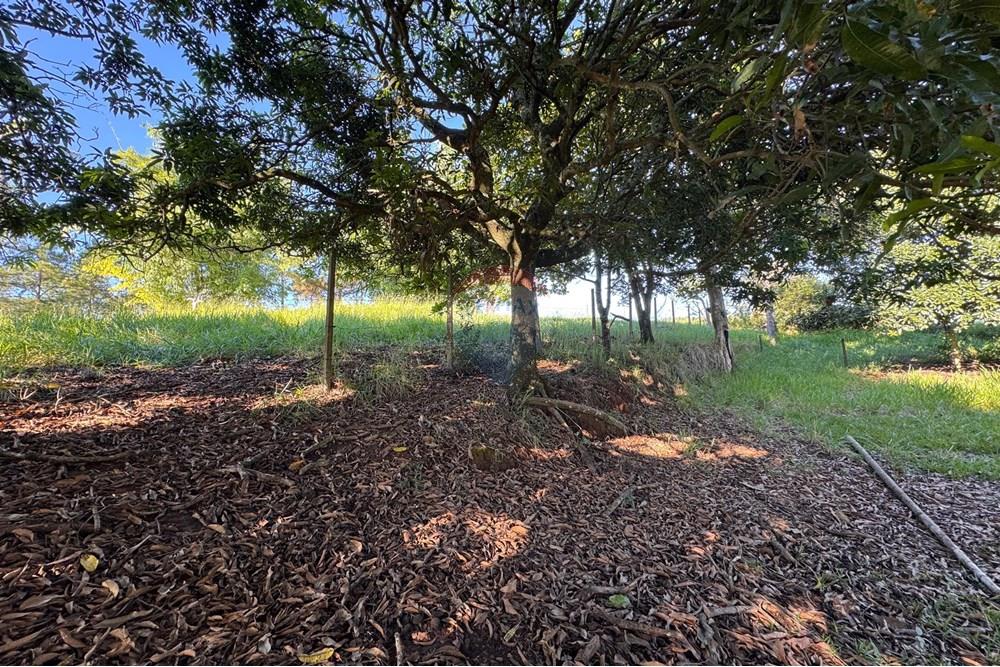 Terreno - Venda - Bragança Paulista , São Paulo - H - Foto Terreno Portal Barragem Jacareí 18.jpg - 690041052-92