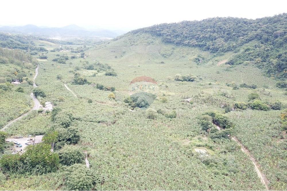 Fazenda - Venda - Miracatu , São Paulo - Imagem do WhatsApp de 2025-03-13 à(s) 16.47.28_d040b456.jpg - 690061038-8