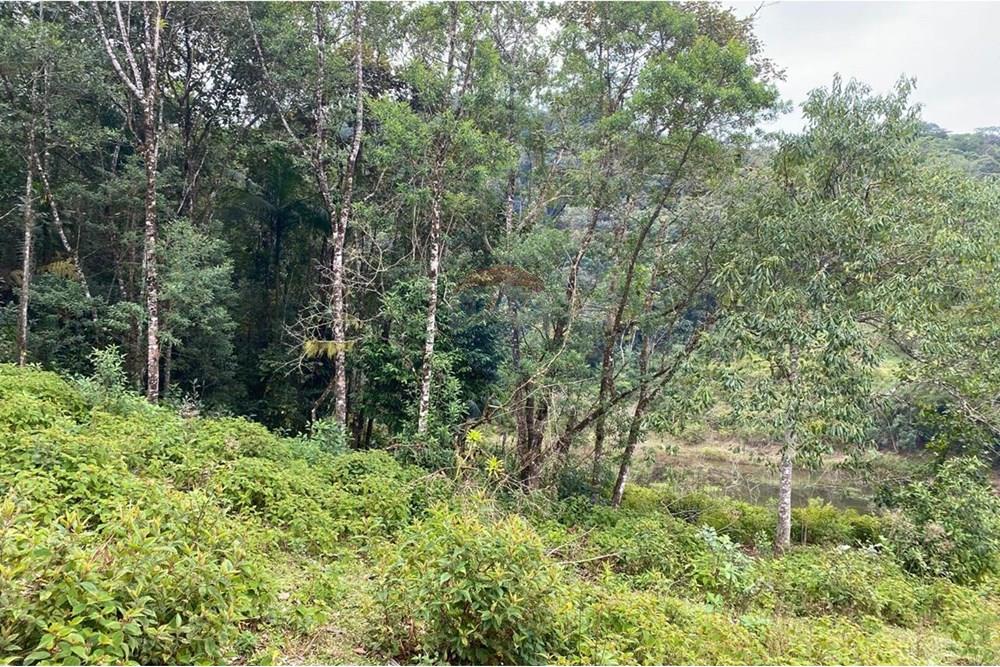 Fazenda - Venda - Sete Barras , São Paulo - WhatsApp Image 2025-08-26 at 13.13.15 (10).jpeg - 690061038-12