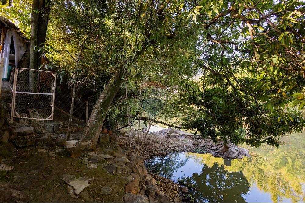 Casa - Venda - Mogi Guaçu , São Paulo - IMG_8657.jpg - Jardim Externo - 690521132-27