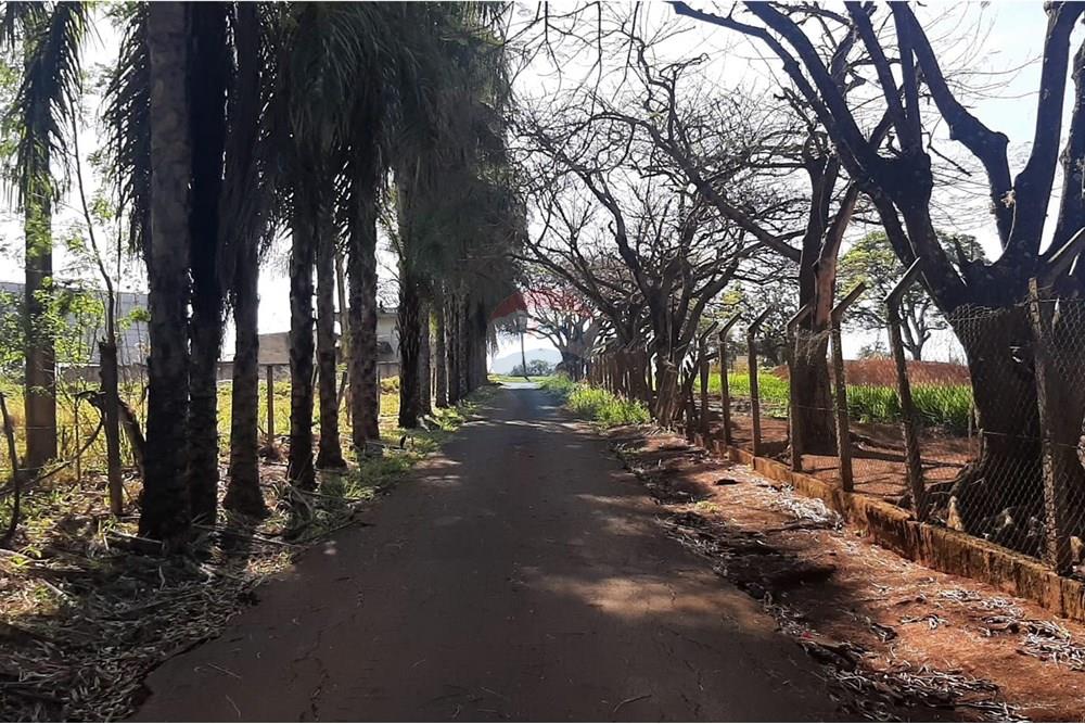 Restaurante - Alugar - Mogi Mirim , São Paulo - IMG-20250202-WA0126.jpg - 690751034-73