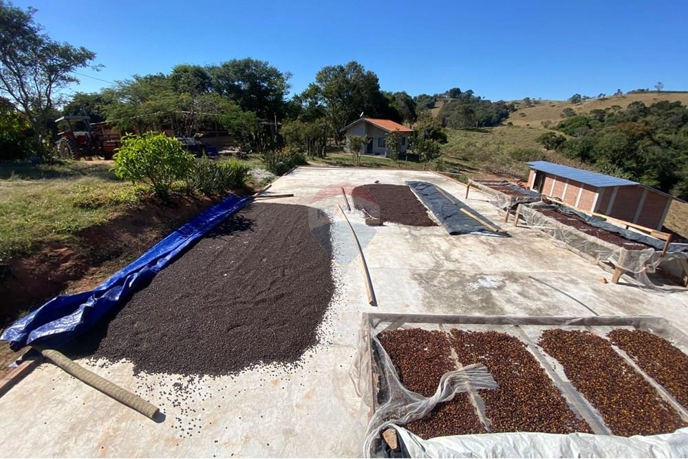 Chácara / Sítio / Fazenda - Venda - Monte Sião , Minas Gerais - WhatsApp Image 2025-07-18 at 18.06.46 (2).jpeg - Jardim Externo - 690291077-219