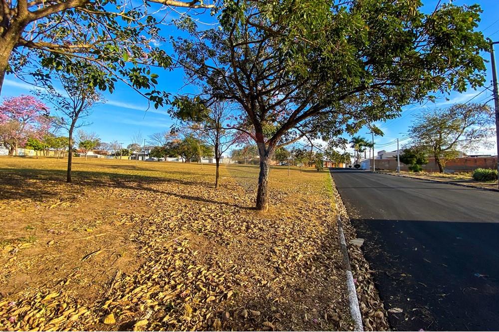 Terreno - Venda - Mogi Mirim , São Paulo - IMG_7487.jpg - 690751017-143