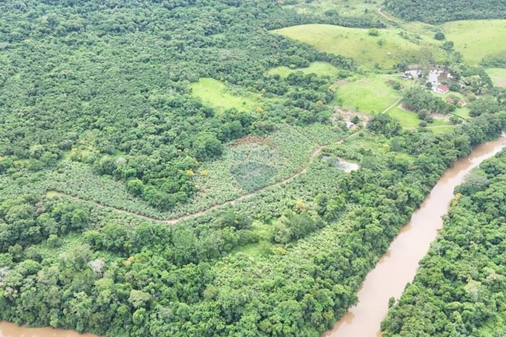 Fazenda - Venda - Miracatu , São Paulo - WhatsApp Image 2025-04-10 at 13.48.46 (1).jpeg - 690061038-2