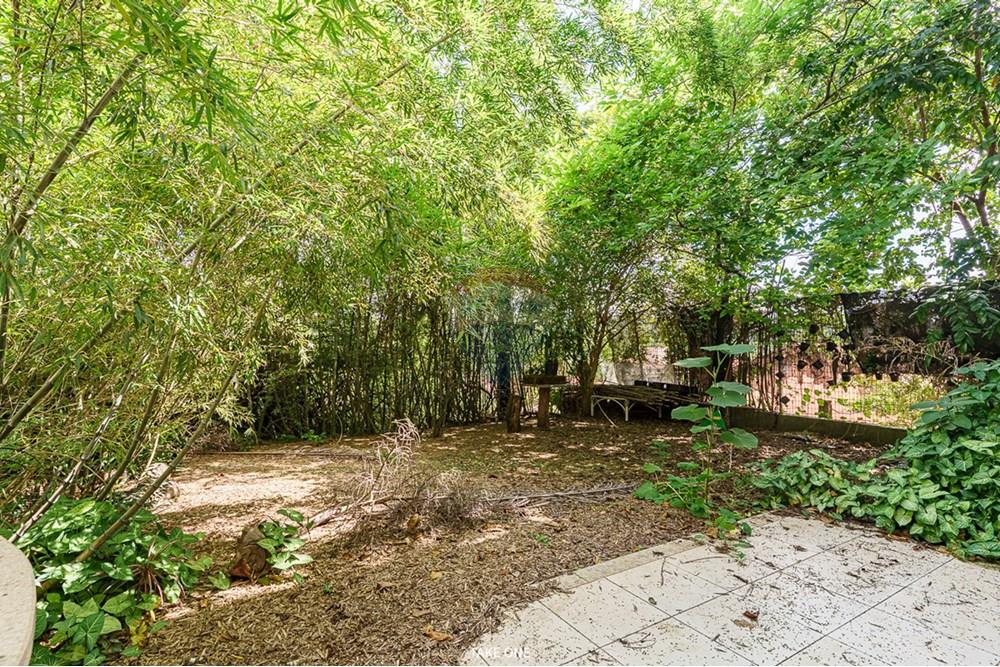 Casa Comercial - Venda - Campinas , São Paulo - 01fotos_029.jpg - 690131098-24