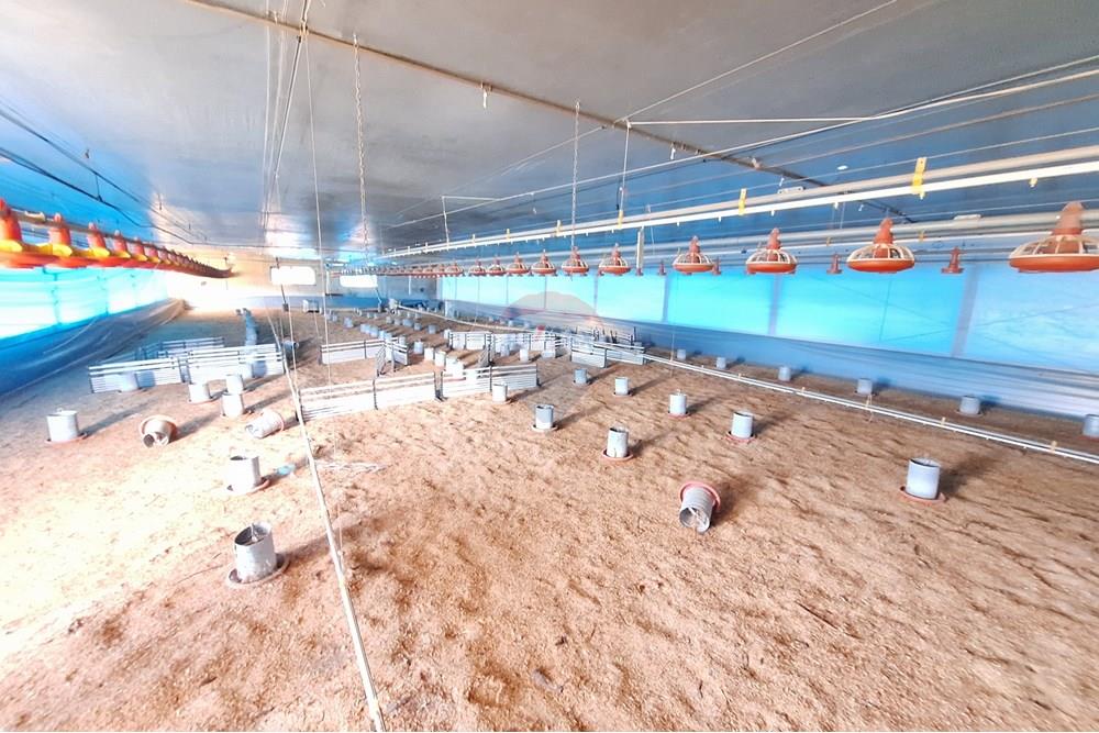 Chácara / Sítio / Fazenda - Venda - Itapira , São Paulo - 20250626_103742.jpg - 690751048-290