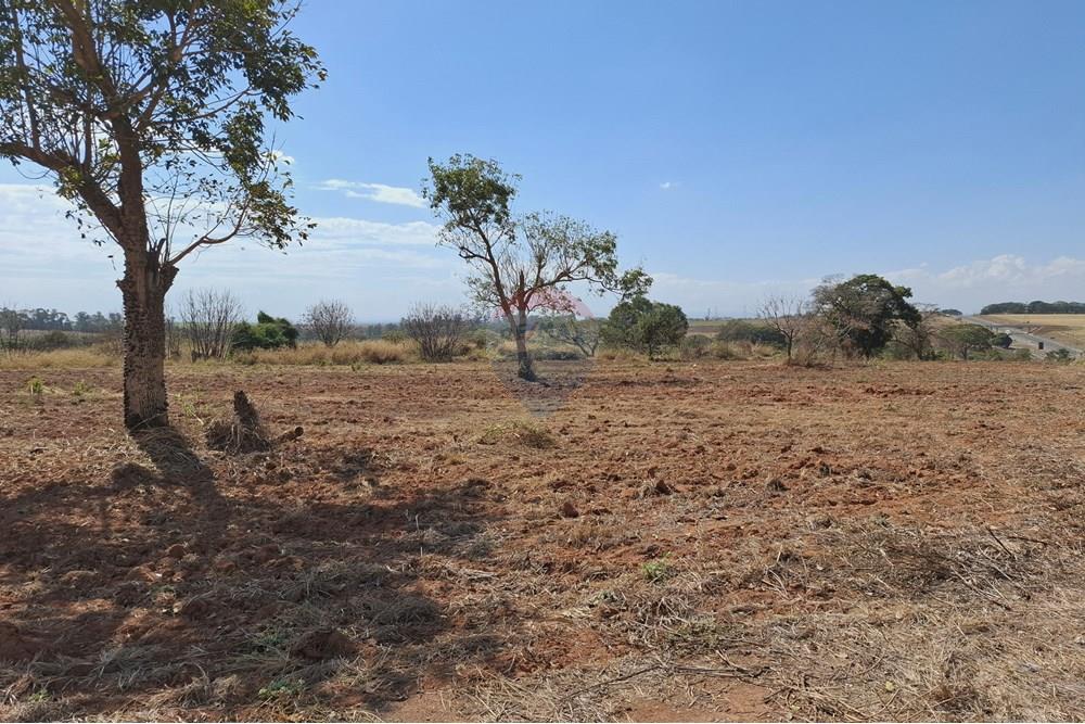 Terreno - Venda - Mogi Mirim , São Paulo - 20250808_120205.jpg - 690681090-43