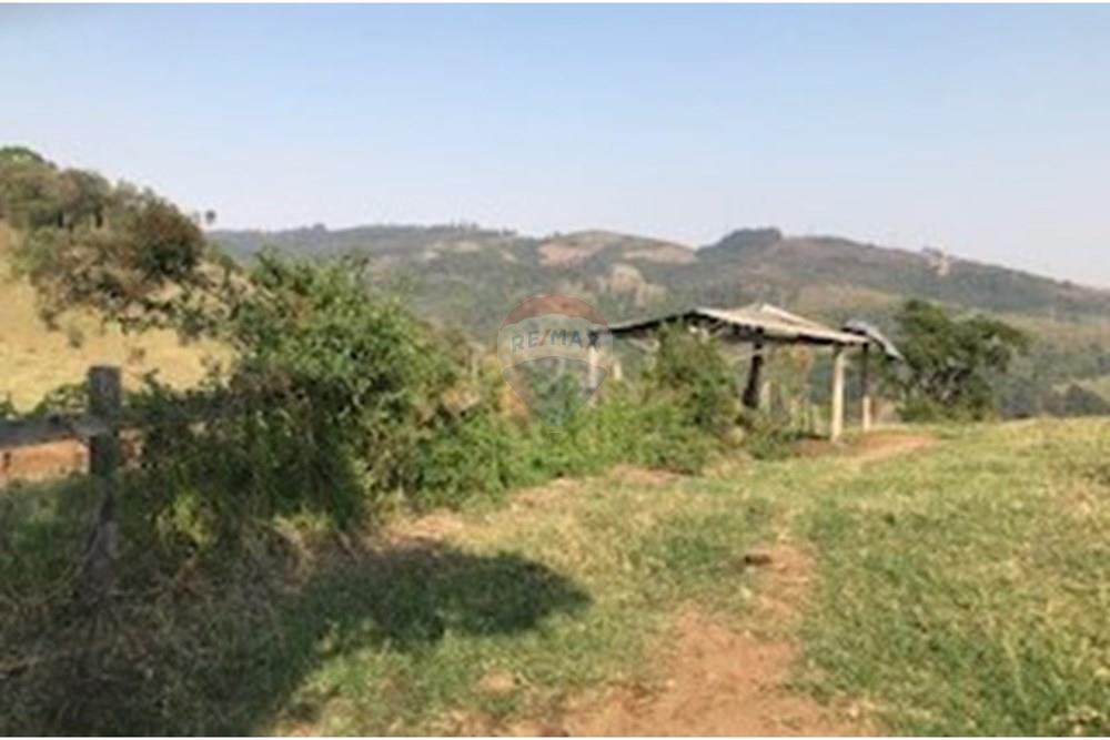 Terreno - Venda - Lindóia , São Paulo - IMG_6883.jpg - 690291056-15