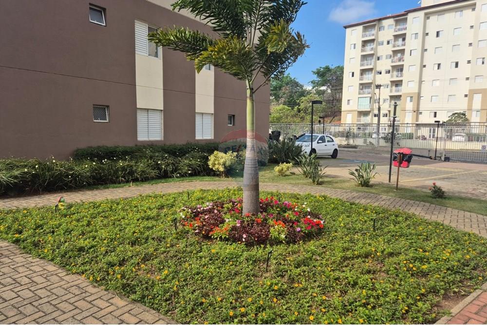 Apartamento - Alugar - Valinhos , São Paulo - d492c5d7-c37d-46cb-98c4-66dc14807369.jpg - 690851008-554