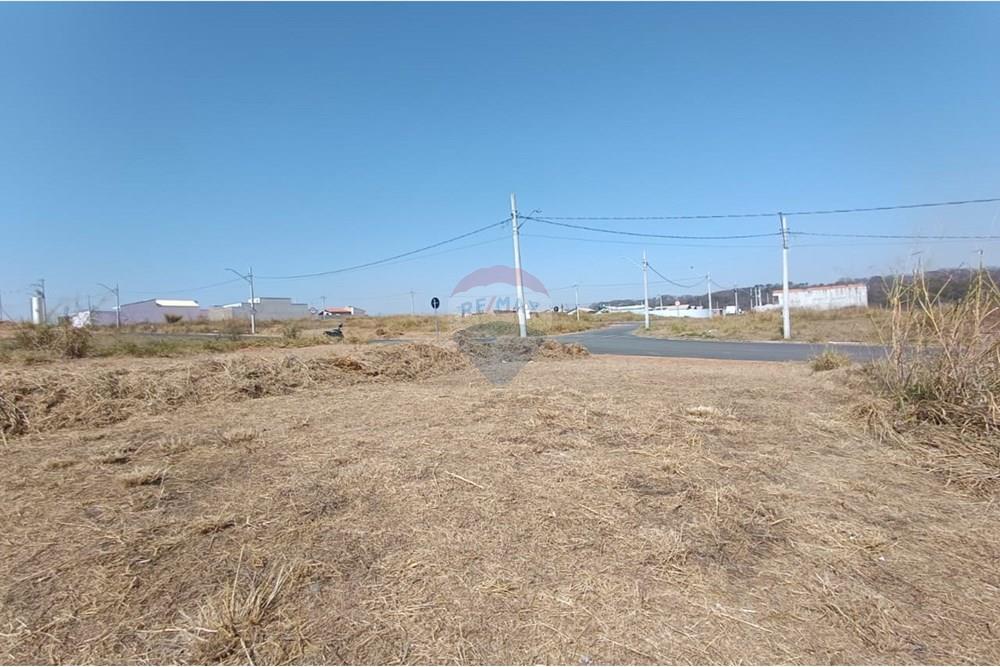 Terreno - Venda - Mogi Guaçu , São Paulo - WhatsApp Image 2025-07-22 at 13.07.02 (1).jpeg - Quintal - 690521033-176