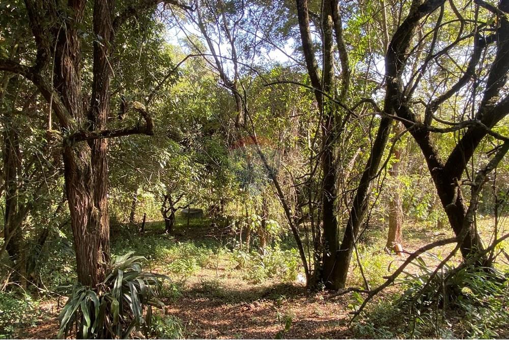 Chácara / Sítio / Fazenda - Venda - Jarinu , São Paulo - z8.JPEG - 691121002-11