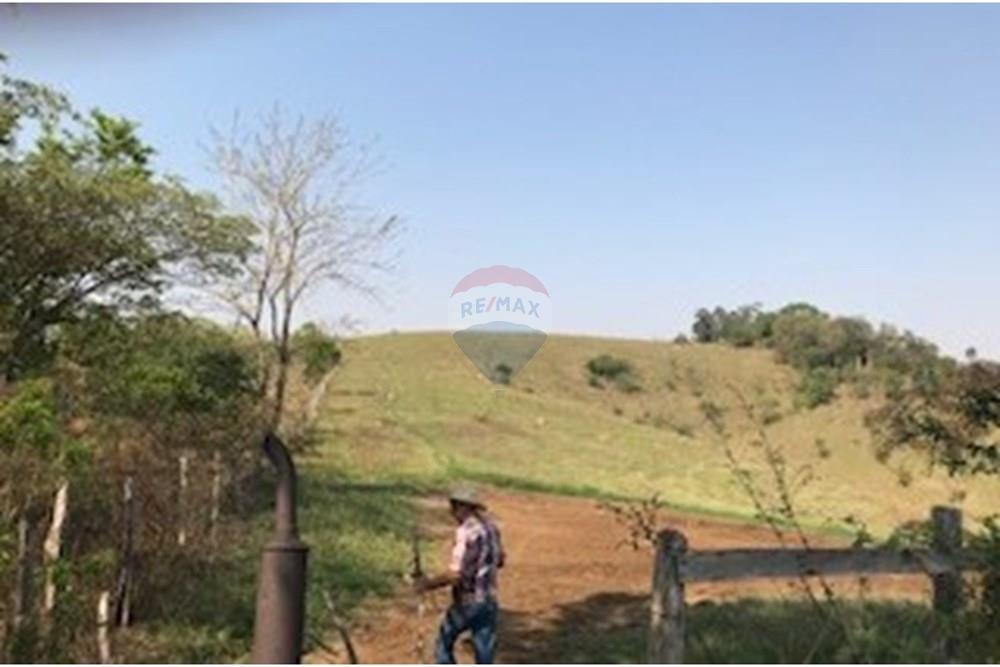 Terreno - Venda - Lindóia , São Paulo - IMG_6882.jpg - 690291056-15