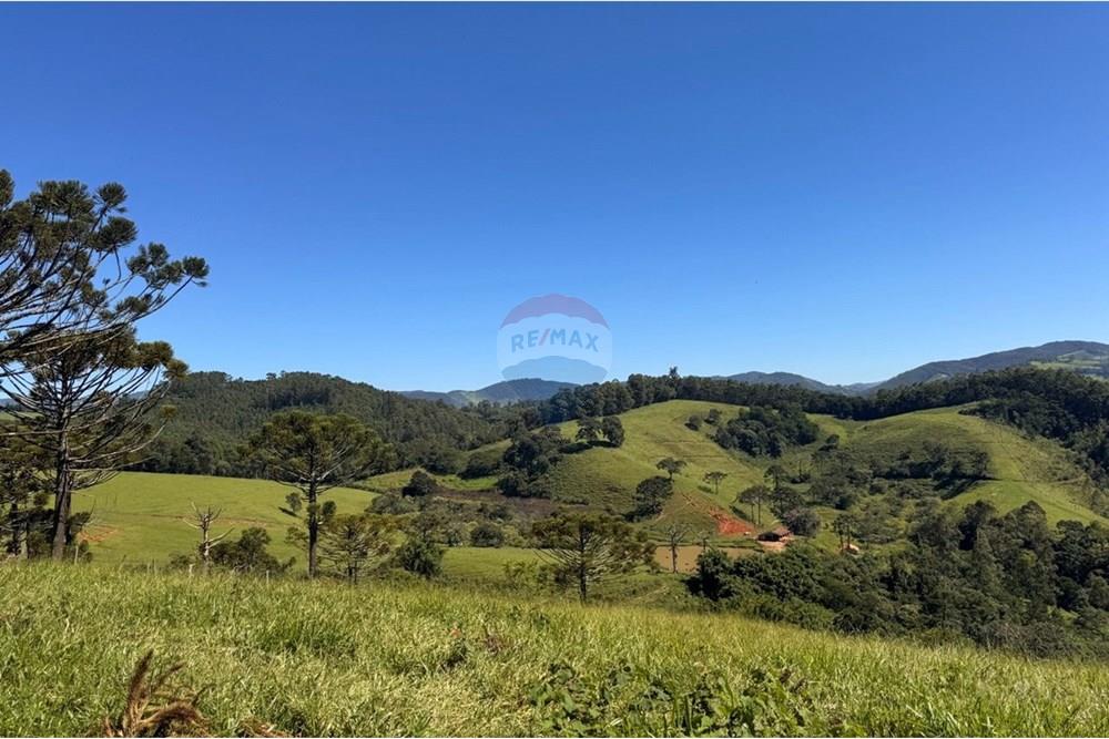 Chácara / Sítio / Fazenda - Venda - Joanópolis , São Paulo - photo_5019343269280201188_y.jpg - 690041001-120