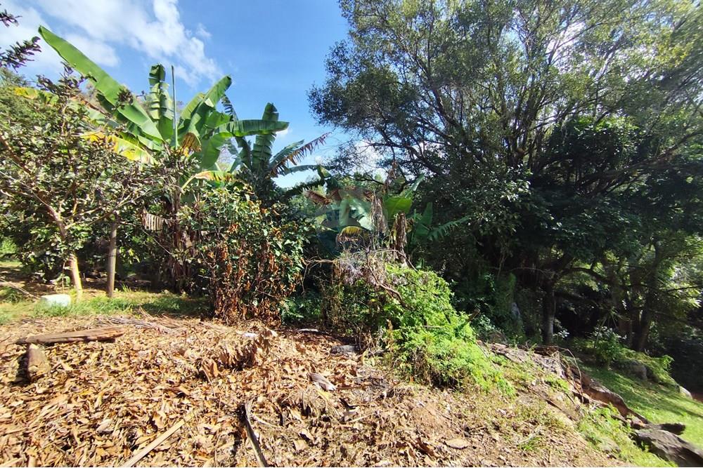 Chácara / Sítio / Fazenda - Venda - Itapira , São Paulo - 1751510168922.jpg - 690291077-251