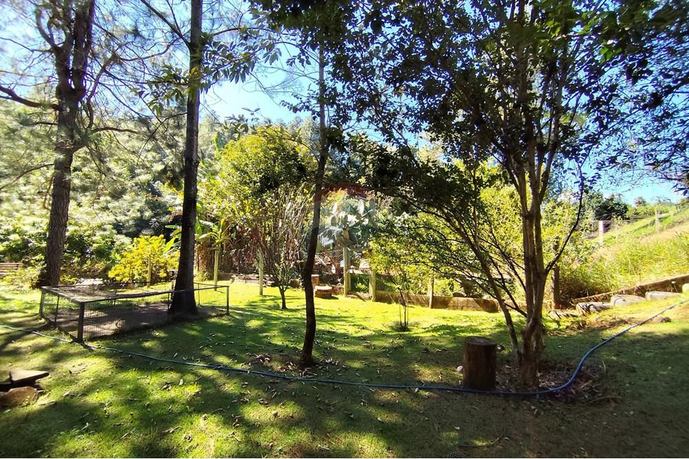 Casa - Venda - Águas de Lindóia , São Paulo - 1747830098742.jpg - 690291077-221